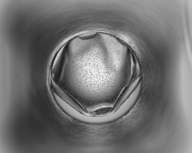 X0000093491520200711020942