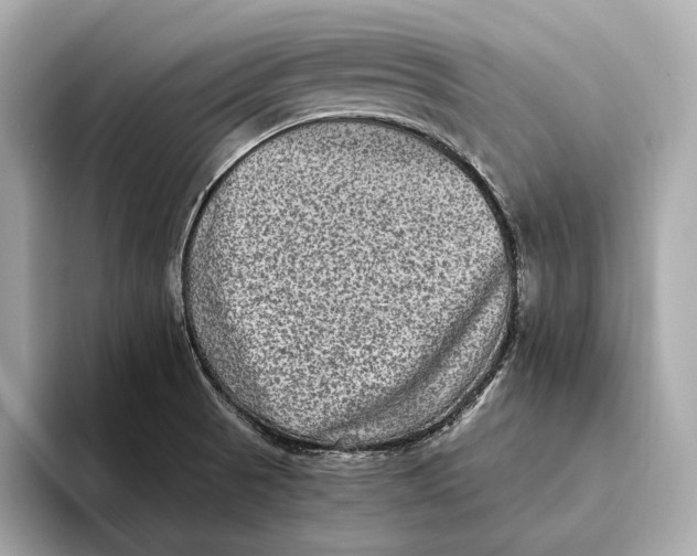 X0000093491521200711020942