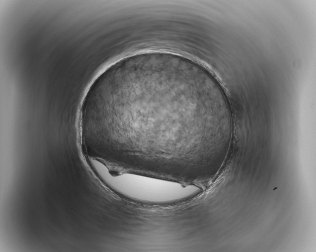 X0000093491522200711020942