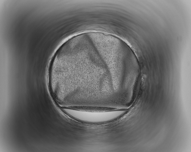 X0000093491523200711020942