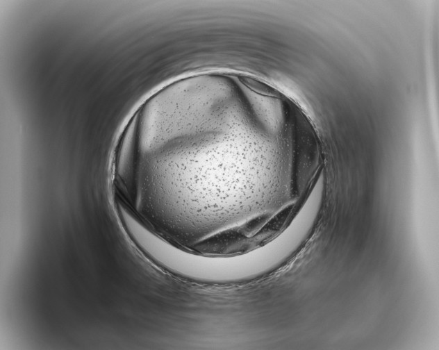 X0000093491524200711020942