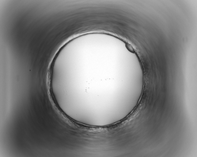 X0000093491526200711020942