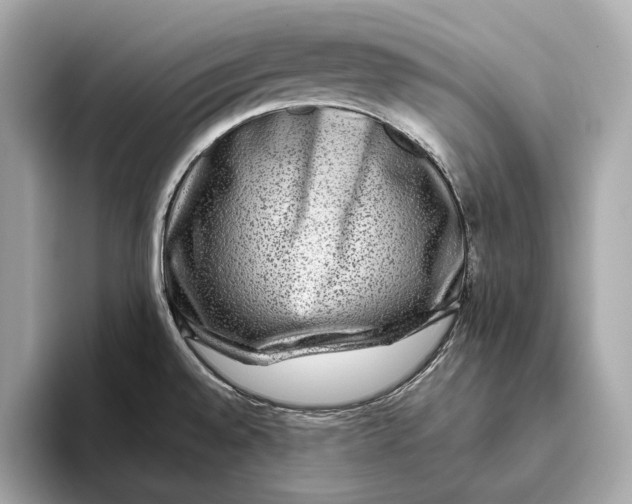 X0000093491528200711020942