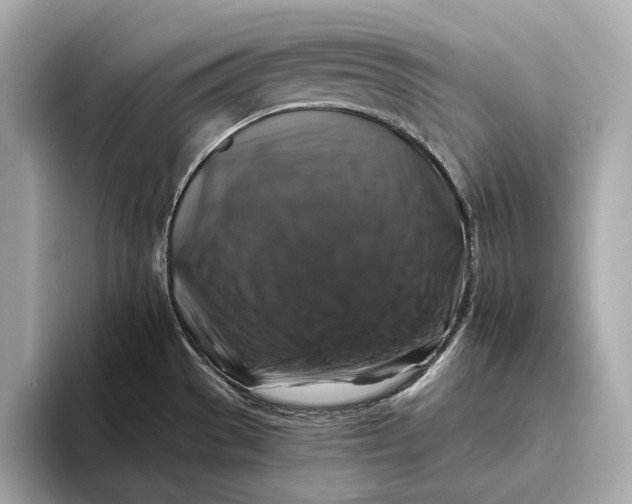 X0000093491529200711020942