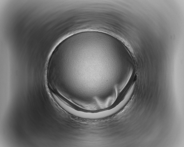 X0000093491530200711020942