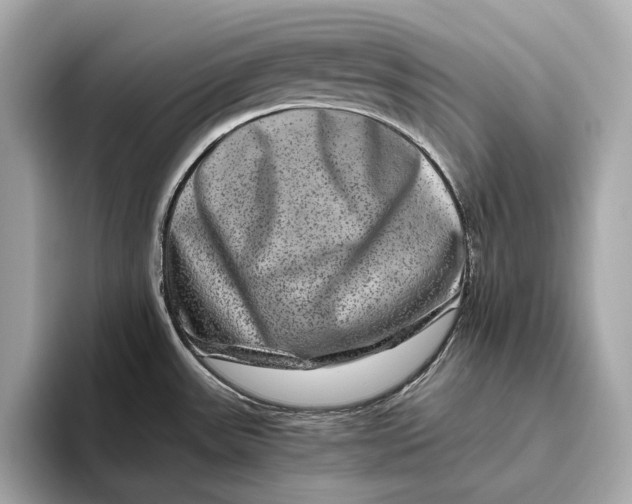 X0000093491531200711020942