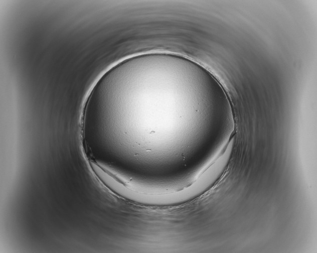 X0000093491532200711020942