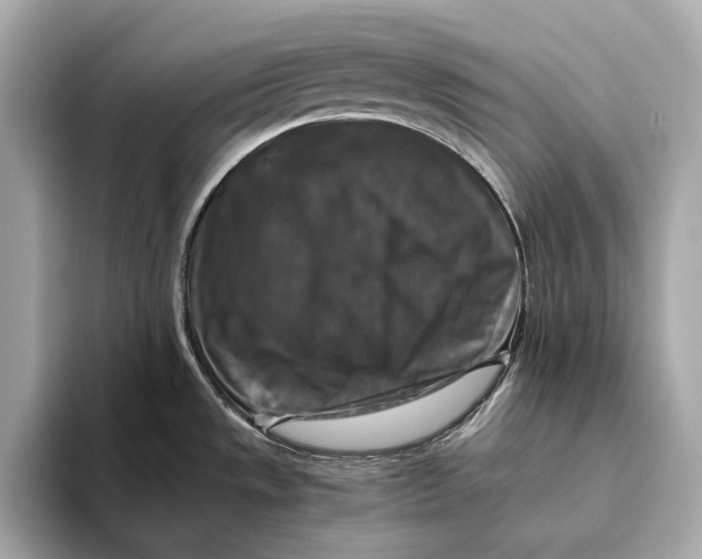 X0000093491533200711020942