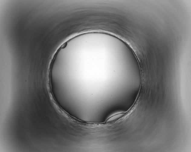 X0000093491534200711020942