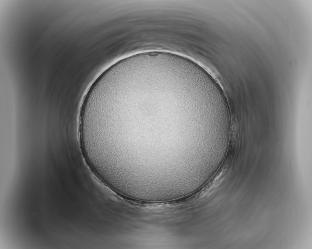 X0000093491535200711020942