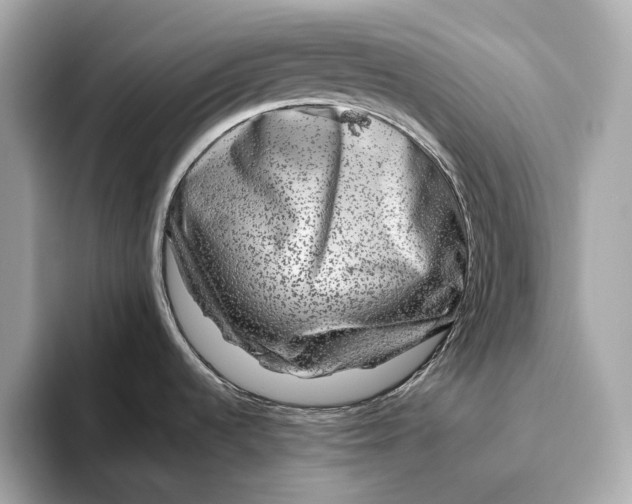 X0000093491536200711020942