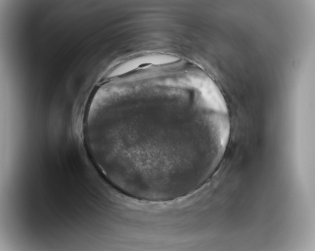 X0000093490002200711091653