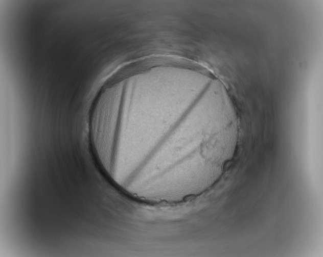 X0000093490005200711091653