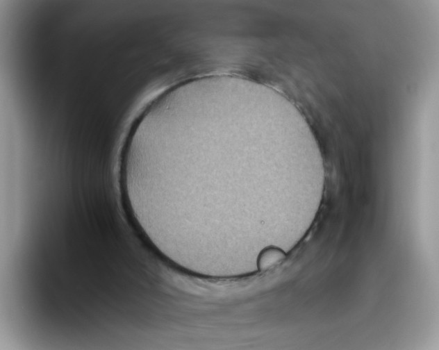 X0000093490006200711091653