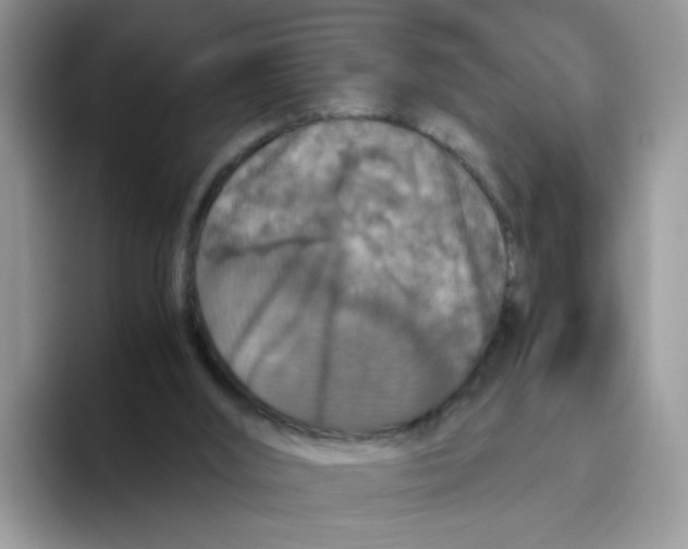 X0000093490012200711091653