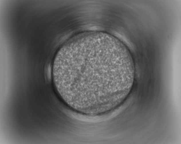 X0000093490014200711091653