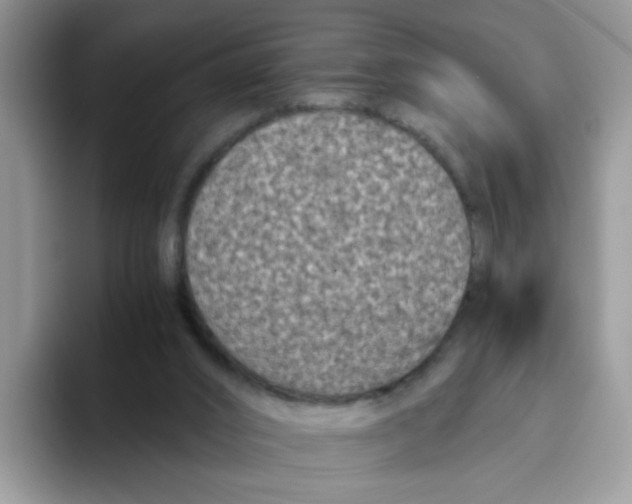 X0000093490016200711091653