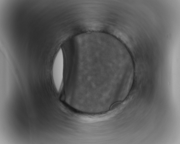 X0000093490017200711091653