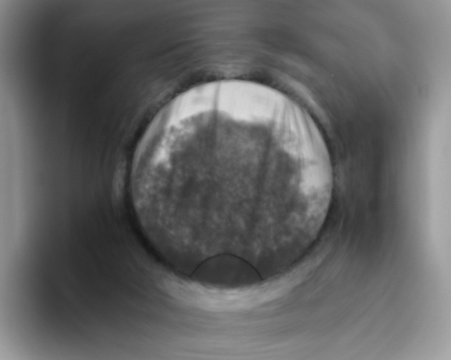 X0000093490018200711091653