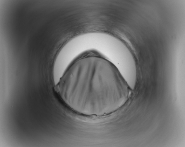 X0000093490019200711091653