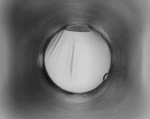 X0000093490020200711091653