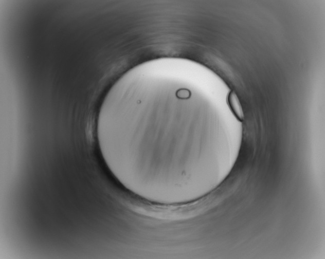 X0000093490023200711091653