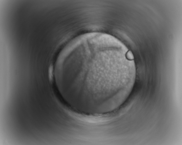 X0000093490024200711091653