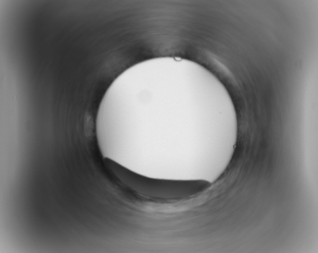 X0000093490025200711091653