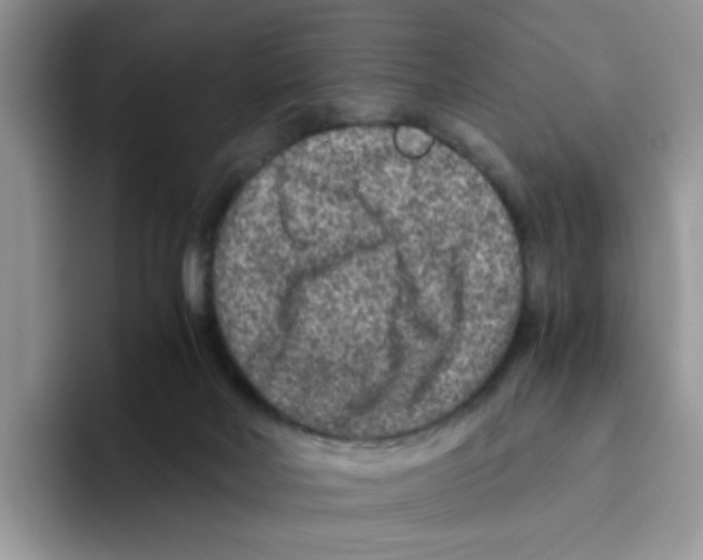 X0000093490026200711091653