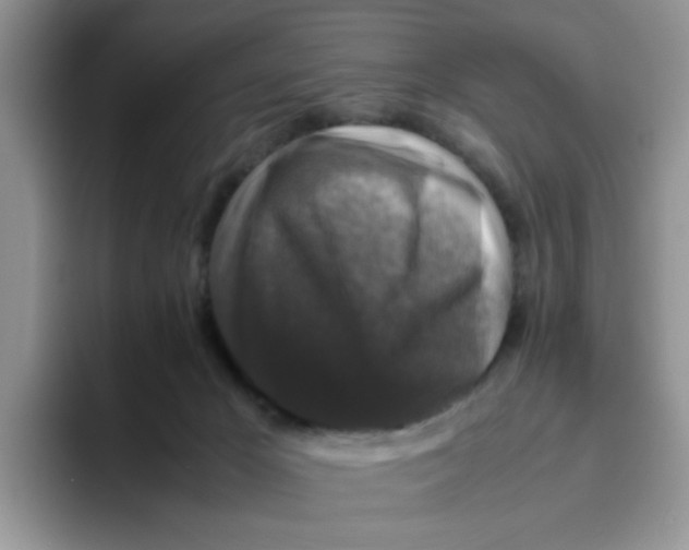 X0000093490029200711091653