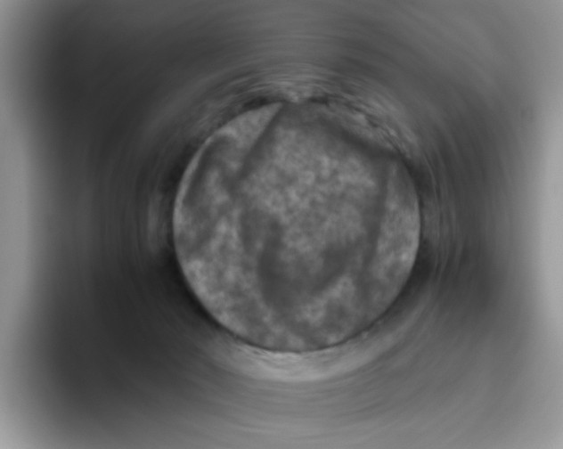 X0000093490030200711091653