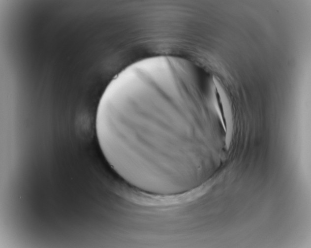 X0000093490031200711091653