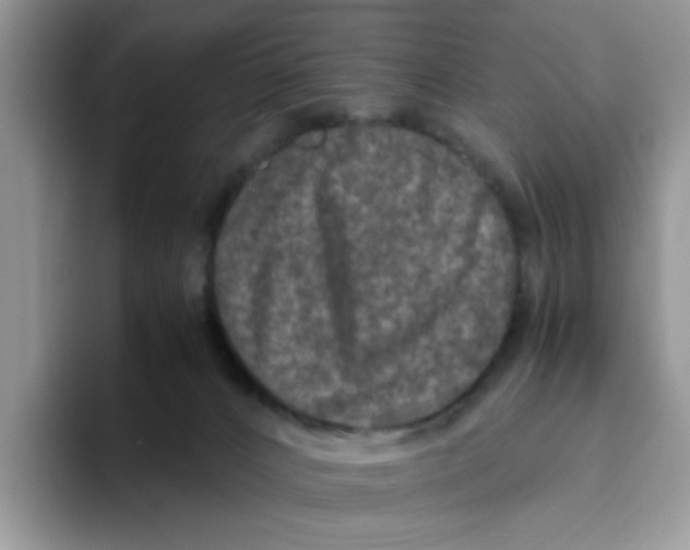 X0000093490032200711091653