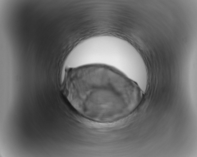 X0000093490039200711091652