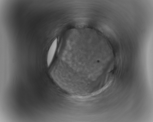 X0000093490041200711091652