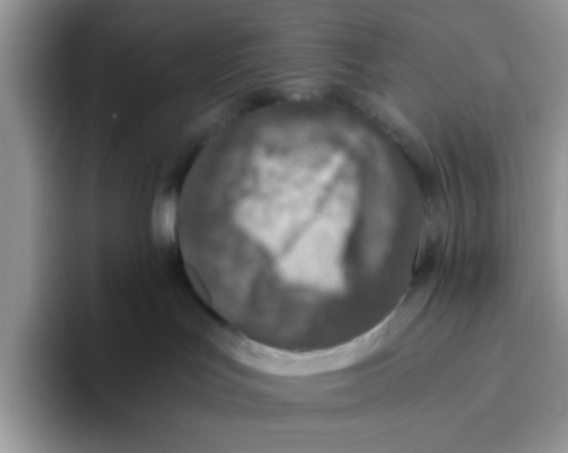 X0000093490047200711091652