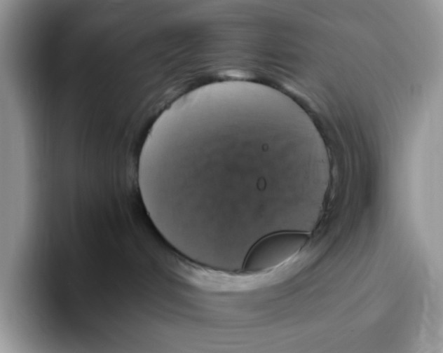 X0000093490048200711091652