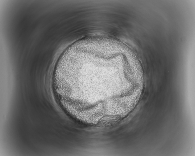 X0000093490049200711091652