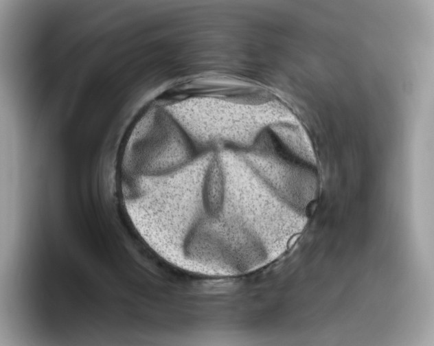 X0000093490050200711091652