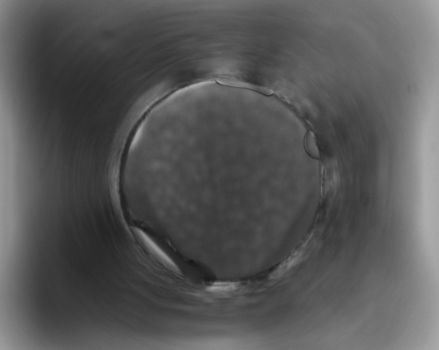 X0000093490051200711091652