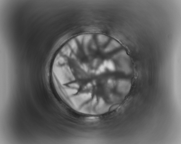 X0000093490053200711091652