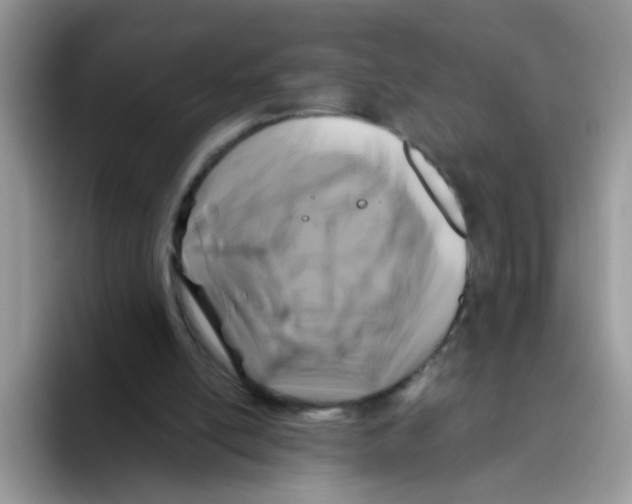 X0000093490054200711091652