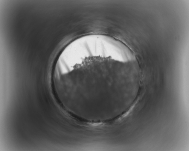 X0000093490055200711091652