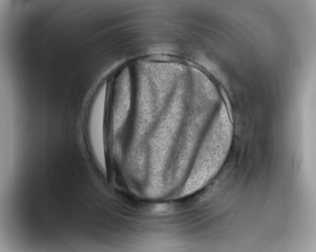 X0000093490060200711091652