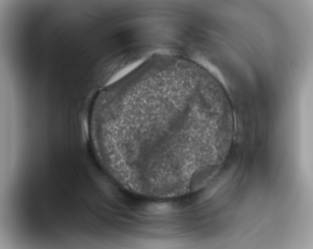 X0000093490061200711091652