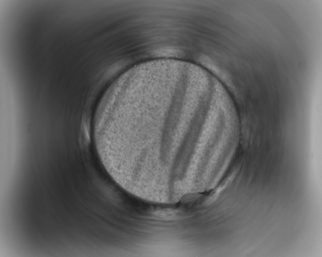 X0000093490062200711091652