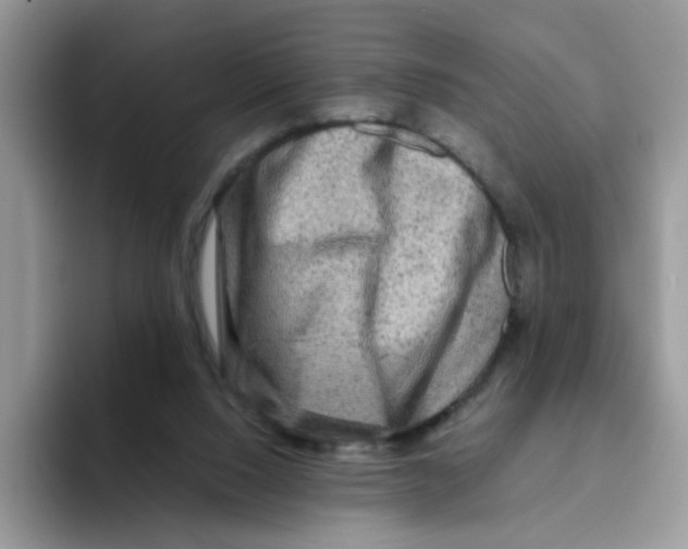 X0000093490064200711091652