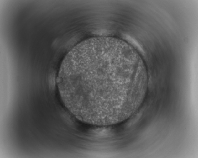 X0000093490065200711091652