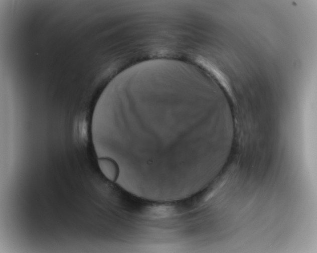 X0000093490067200711091652