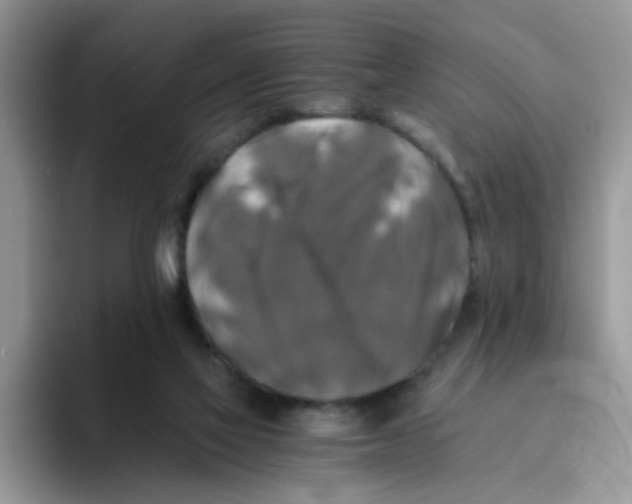 X0000093490069200711091652